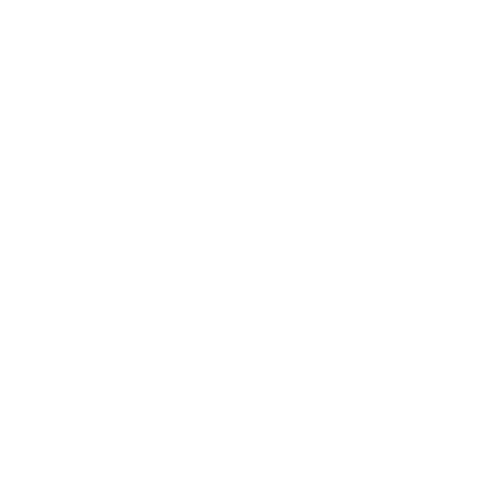 IG Icon