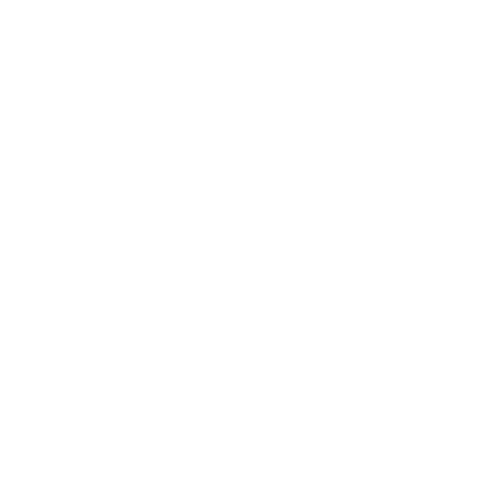 IG Icon